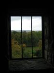 15147 View from tower window.jpg